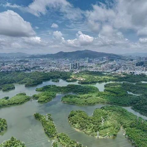 【综合管养周报】观澜森林公园和五指耙森林公园管理处2025年6月第二周工作汇报