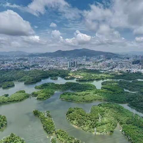 【综合管养周报】观澜森林公园和五指耙森林公园管理处2025年7月第四周工作汇报