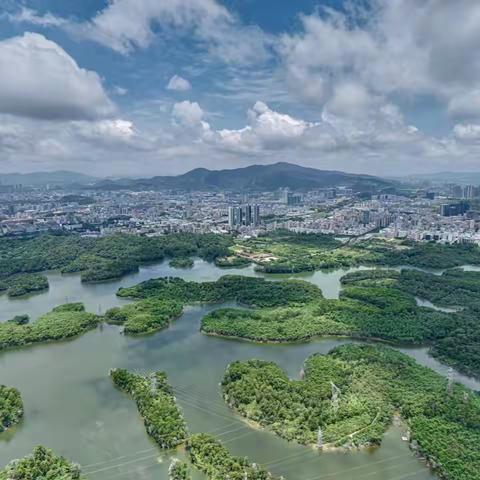 【综合管养周报】观澜森林公园和五指耙森林公园管理处2025年8月第二周工作汇报