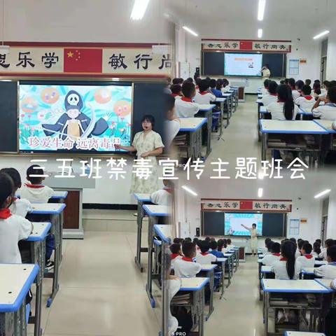 【 真性文慧❤共赢未来】远离毒品 ·关爱未来 ·健康生活——文慧小学禁毒教育主题班会