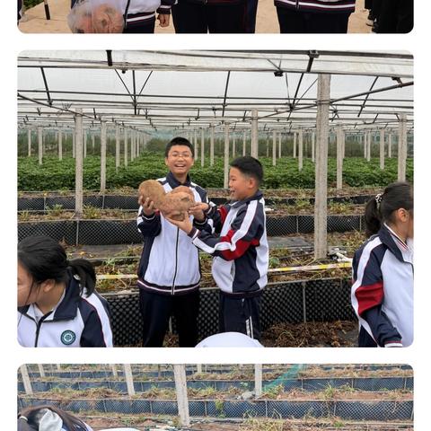 行之所见，拓宽视野|缙云县实验中学五云校区七年级研学活动