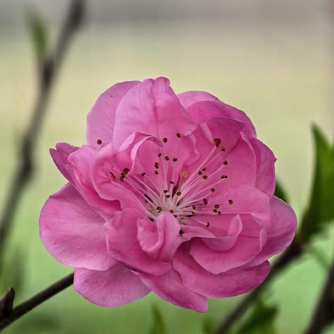 🌹清朗金融网络🌹守护安心消费