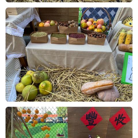 暖阳晒秋食  童心惜丰年——安源红领巾学校附属幼儿园晒秋主题活动