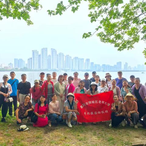 柔光漫林间：手机摄影初级班襄城闸北的摄影之约