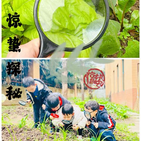 重庆南岸风临洲幼儿园 ✨casa3第三周精彩分享✨