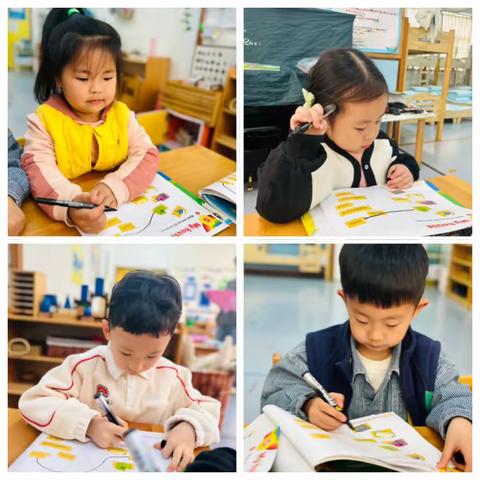 重庆南岸风临洲幼儿园 ✨casa3第五周精彩分享✨