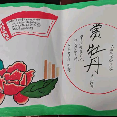 红领巾与牡丹手抄报展示——城关镇中心小学水磨头校区六二班