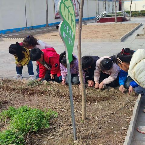 春的播种--马庄学区枣营教学点德育活动纪实