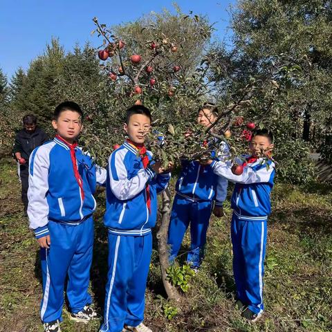 苹果清香满校园 劳动实践焕生机