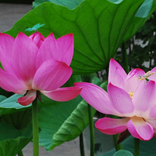 佛说：得与失，天注定！