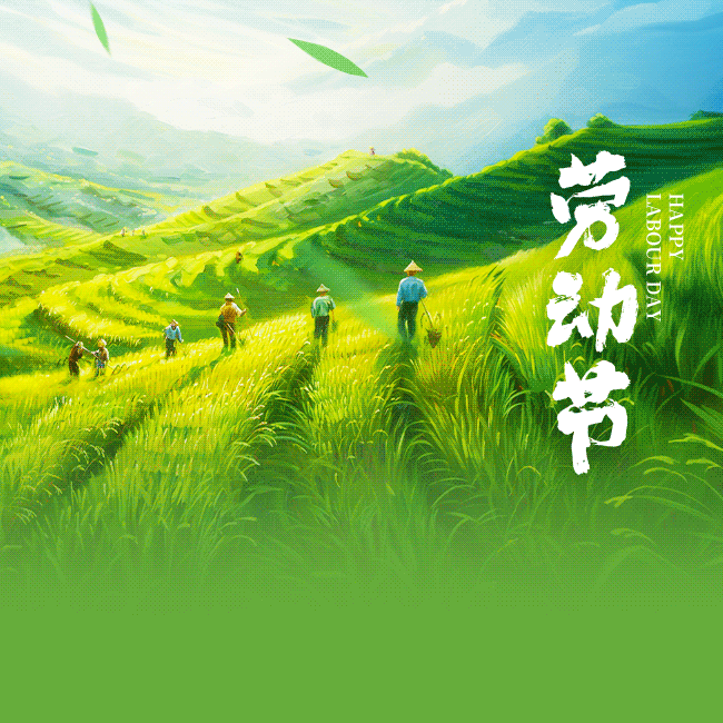 寸草承孝意，清风育少年——汶川县第一小学校第九周工作侧记