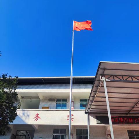 星星火炬闪耀征程——麻城镇田林小学2025年新队员入队仪式暨新一届大队委就职仪式