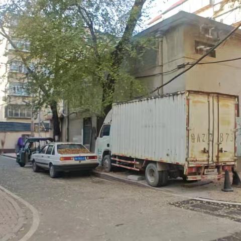 修树除隐患 暖心解民忧——泺河社区用行动守护居民安全