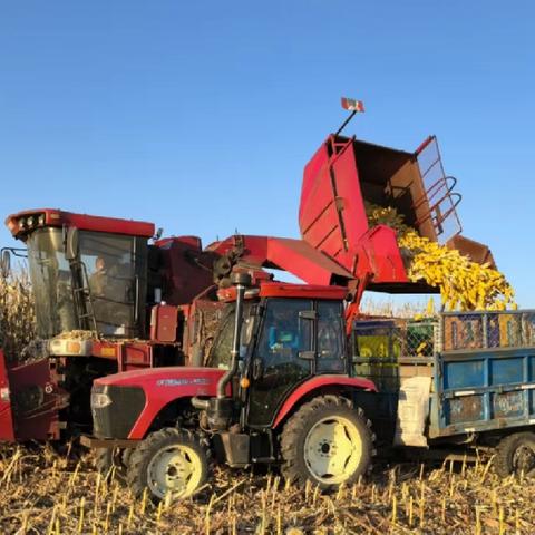 黎明齐发力 有方护秋收