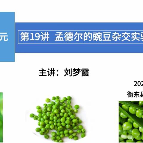 课堂教学展风采，齐心教研共进步——衡东二中2023年下学期生物组第一次教研活动全程记录