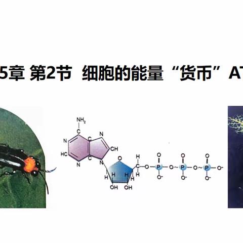 且行且思，且思且进——衡东二中2023年下学期生物组第五次教研活动全程记录