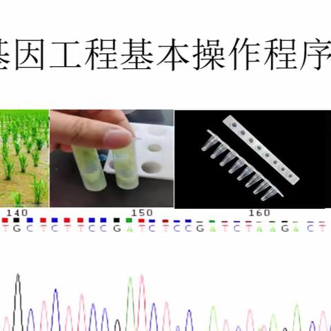 教有所得，研有所获 ——衡东二中2023年下学期生物组第六次教研活动全程记录