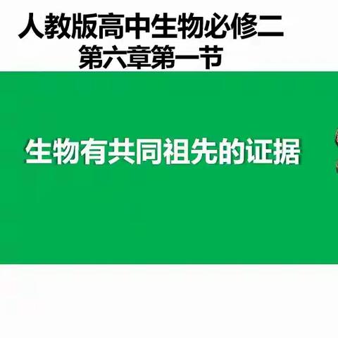 “教”亦有道，“研”途共行——衡东二中2024年上学期生物组第四次教研活动全程记录