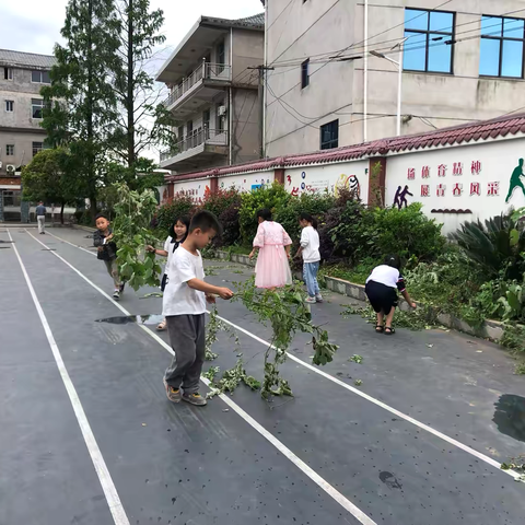 象山小学第十三周工作总结