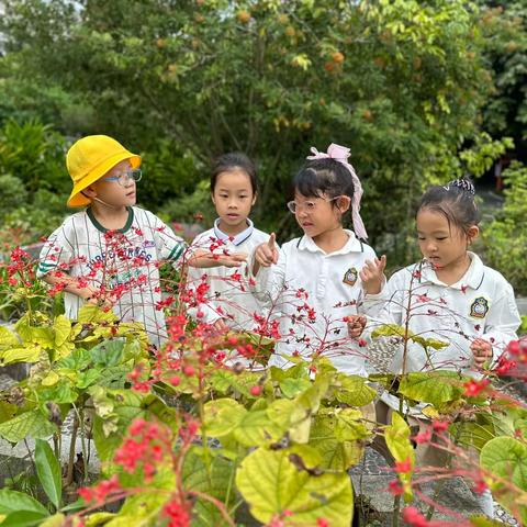 走进大自然 • 探秘植物园——东方幼儿托育园研学活动