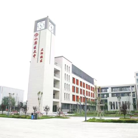 学习促提升 蓄力共成长——太原市小店区第三中学校正阳校区小学部音体美组教师暑期业务学习活动