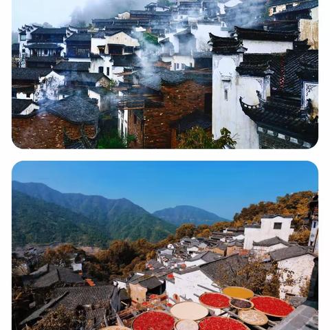 江西婺源，新安江山水画廊，安徽龙川景区，竹博园熊猫馆，西湖游船（曲院风荷）