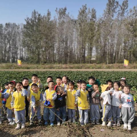 金秋生趣·乐享丰收—泷湖湾幼儿园中一班秋游活动