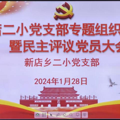 南阳市示范区新店乡二小党支部召开2023年度组织生活会暨民主评议党员大会