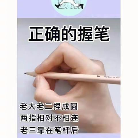 🌱新的希望，☀爱的阳光，我们与孩子一同成长——中二班一周回顾