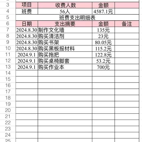 五五班班费支出明细