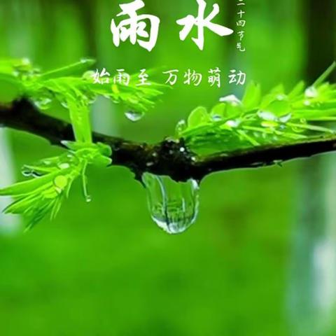 雨水节气话民俗——静海区第二中学开展传统文化教育