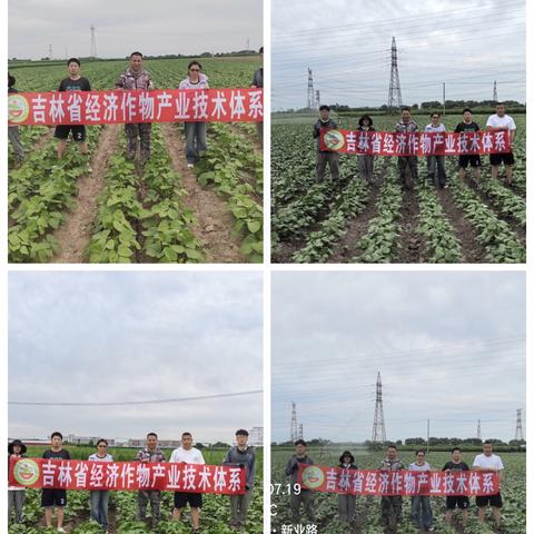 吉林省经济作物体系绿豆研究团队开展项目推进与技术指导