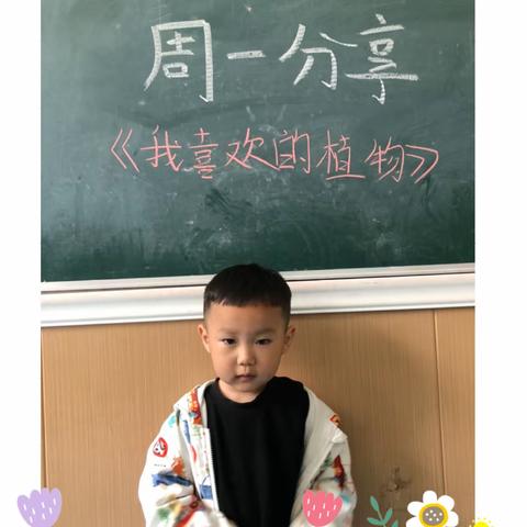 童趣无限😊快乐成长—锦绣幼儿园小荷班