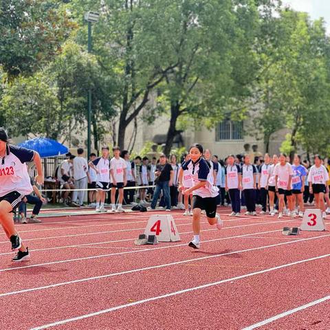 青春之花，赛场绽放八（16）杜云浠