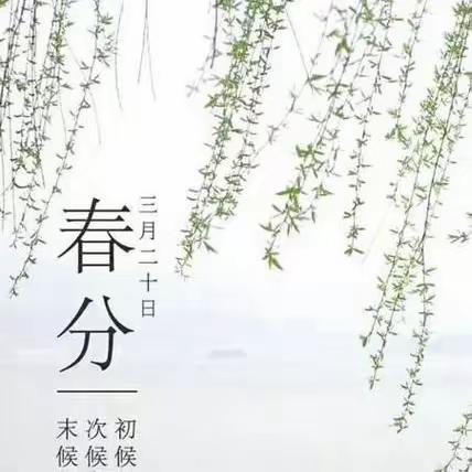 知时节     晓春分   —    毓秀幼儿园  春分种植活动