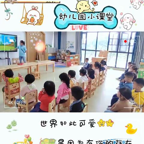 幼儿园一周的精彩回顾