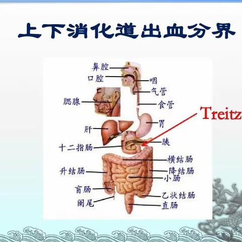 消化道出血健康教育