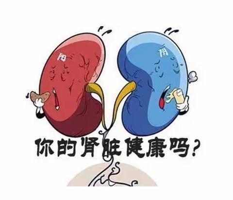 肾衰竭健康教育