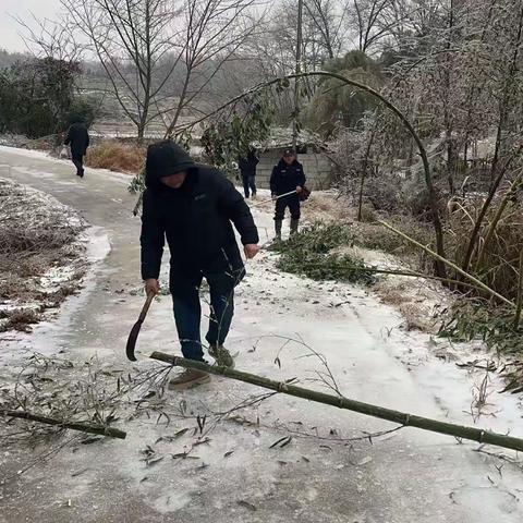 心系民生冷暖，情系万家灯火，今天紫微山村村两委干部带领群众清理各小组通组路，乱断树枝，清除安全隐患，确保村民安全畅通出行，为最美劳动者点赞👍👍👍🌷🌷🌷🌿🌿