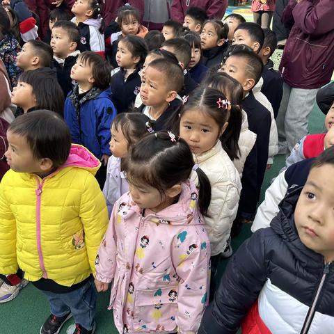 香港成才国际幼儿园小三班第十一周工作回顾与计划