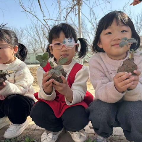 亲近自然 播种春天 ----兴村镇第二幼儿园春天种植活动