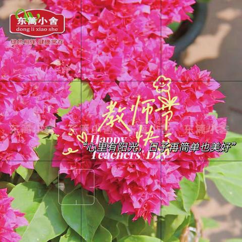 滨海新区教师发展中心祝全体教师节日快乐