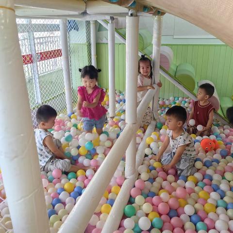 2023.9.8  花朵朵幼儿园  小一班   一日生活相册