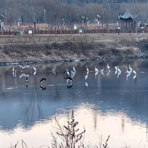 加强巡护力度，守护湿地公园安全
