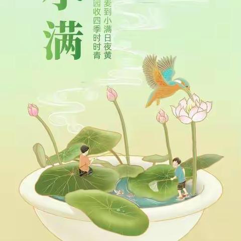 🌾苗四班二十四节气—小满主题教育活动