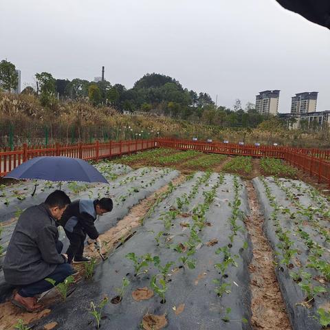 一年级2310 班  第16周工作总结