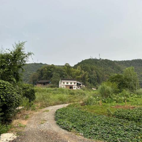 李泽宇  生物调查