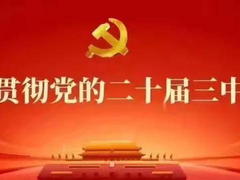 学习全会精神 凝聚奋进力量 ﻿——第三党小组开展学习二十届三中全会精神专题活动