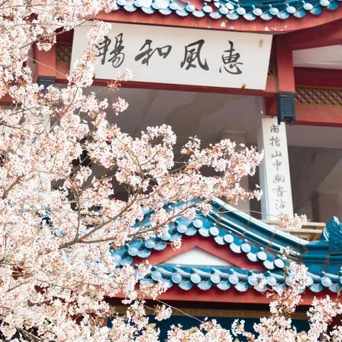 🌅行走的经典读书会 🌸春龙🐉同启 传统文化生活春游活动