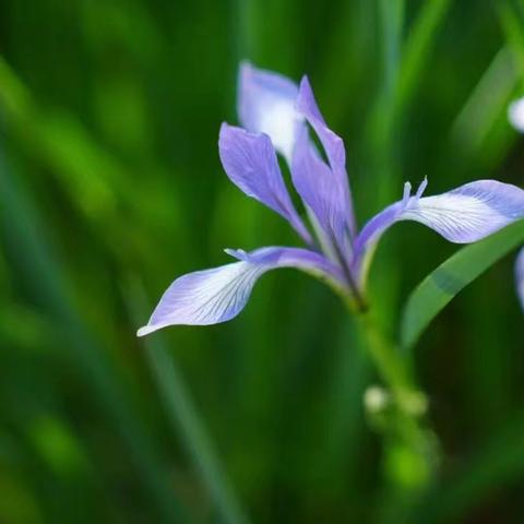 🌅行走的经典读书会·2026春季经典诵读（第六期）